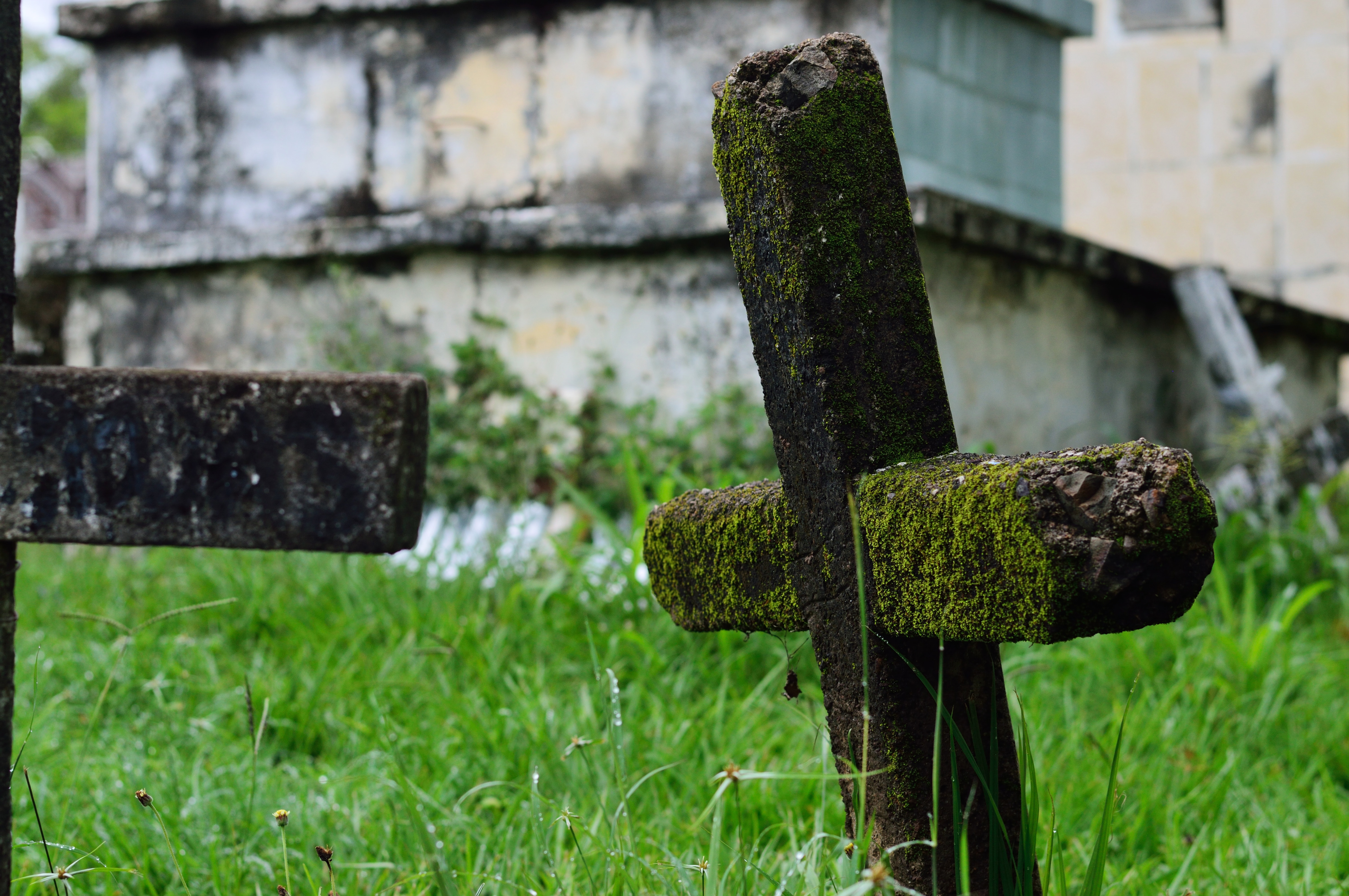 ancient-burial-cemetery-creepy-446461